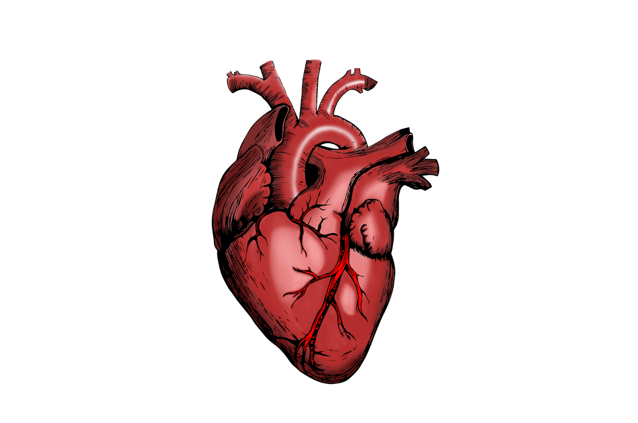 Understanding Entresto: How it Protects Your Heart